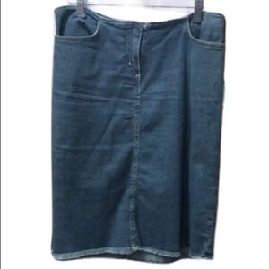 EUC Theory Jean Skirt size 6